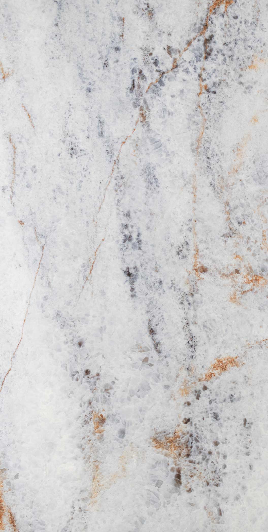 breccia reale porcelain B vertical
