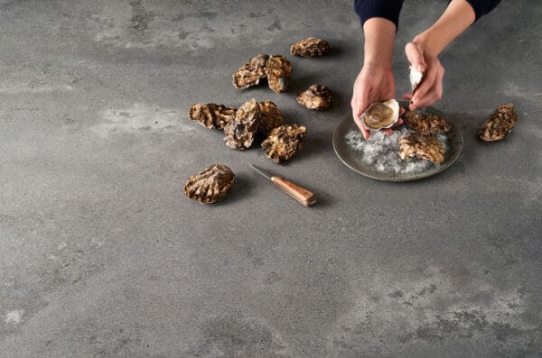 4033 Rugged Concrete 4033 Rugged Concrete 3 jpg