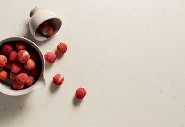 4141 Misty Carrera 4141 Misty Carrera 1 jpg