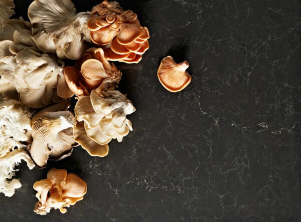 5003 Piatra Grey 5003 Piatra Grey 1 jpg